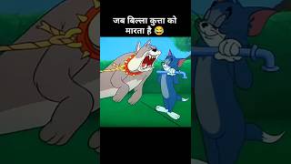 जब बिल्ला कुत्ता को मारता है 😂। Funny explanation cartoon memes funny explain [upl. by Gerick]