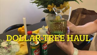 DOLLAR TREE  HAUL  PLUS  🥰 haul dollartreehaul [upl. by Halland]