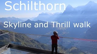 Skyline walk and Thrill walk at Birg Schilthorn [upl. by Glynn258]