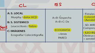 COLICO BILIAR  COLECISTITIS  COLEDOCOLITIASIS  COLANGITIS  GASTROENTEROLOGÍA [upl. by Akirahc]