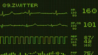 Rammstein  Zwitter Instrumental Cover Remastered Live Version [upl. by Hirsch]