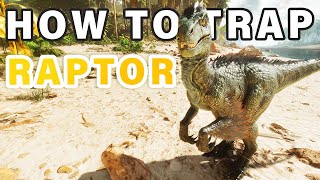 How to Trap AND Tame a Raptor ► Ark Survival Ascended [upl. by Corvin]