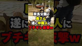 奈良公園の鹿さん遂に中国人にブチギレ反撃www 海外の反応 shorts [upl. by Behm763]