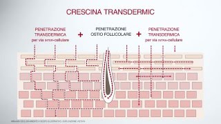 Crescina Transdermic  Con Nuova Tecnologia Transdermica [upl. by Rufus]