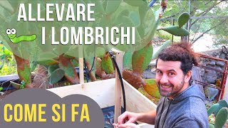 Come avviare un ALLEVAMENTO di LOMBRICHI [upl. by Tteve]