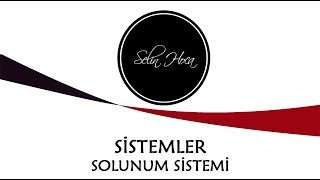 ARŞİV 18 Solunum Sistemi  11 Sınıf Biyoloji AYT 18 [upl. by Draude]