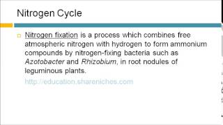 Nitrogen Cycle  Nitrogen Fixation Nitrification Denitrification  Dynamic Ecosystem [upl. by Locin706]