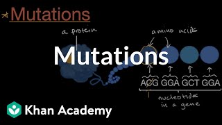 Mutations  Inheritance and variation  Middle school biology  Khan Academy [upl. by Blackington]