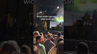 Hash pipe Weezer weezer live music sandiego [upl. by Retsof49]