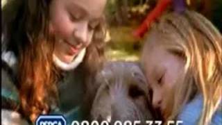 RSPCA Advert  Support The Poor Animals [upl. by Annahsor]