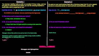 Fatty Acid Synthesis Part 9 of 12  Hormonal Control of Acetyl CoA Carboxylase [upl. by Yrrol]