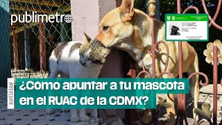 ¿Cómo apuntar a tu MASCOTA en el Registro Único de Animales de Compañía [upl. by Anwahsad830]