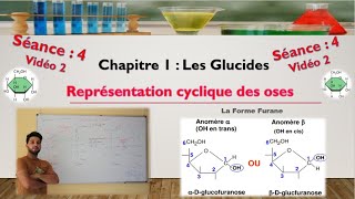 Séance 4  Vidéo 2  cyclisation des aldoses  formation de furanoses [upl. by Aseretairam]