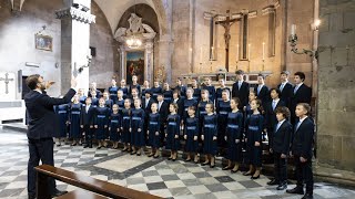 Konzertchor der Schule für Chorkunst München  Ave Generosa Ola Gjeilo [upl. by Llevel]