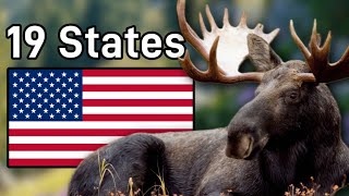 The Moose Population In Each State They Inhabit amp Their Future [upl. by Neysa784]