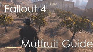 Fallout 4  Easily Find Mutfruit Tato Corn Guide [upl. by Alina]