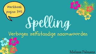 Nederlands 3ASO  LES 6 Spelling Verbogen Zelfstandige Naamwoorden [upl. by Eglantine714]