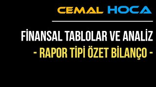 8 Finansal Tablolar Analizi │ Rapor Tipi Özet Bilanço Nasıl Düzenlenir │ Öğrenme Garantili [upl. by Lamaaj]