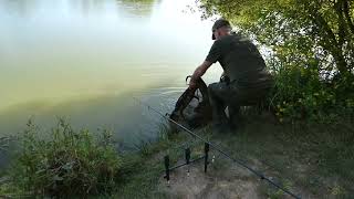 PART 2 Common Carp Fishing at Moor Hall Lake near Ninfield E Sussex England 230824 at 537 pm [upl. by Servais458]