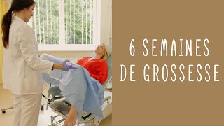 6 semaines de grossesse [upl. by Barrie]