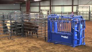 Cattle Stockmanship Clinic held at McKinney TX [upl. by Drofdarb]