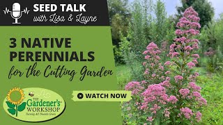 Seed Talk 99  3 Native Perennials for the Cutting Garden [upl. by Nelle990]