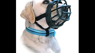 Review Baskerville Ultra Muzzle for Dogs Black [upl. by Nickelsen]