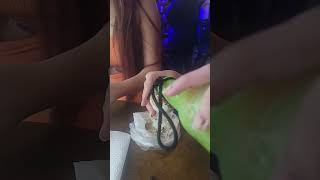 Cebu waitresses eating Ballut fertilized duck egg🤢 [upl. by Groscr203]