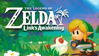 The Legend of Zelda  Links Awakening dunkview [upl. by Ainex]