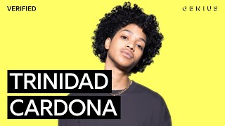 Trinidad Cardona “Dinero” Official Lyrics amp Meaning  Verified [upl. by Urania]