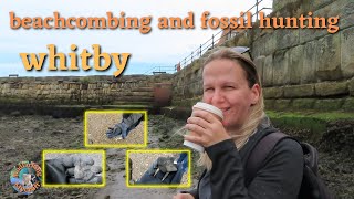 beachcombing Whitby and fossils [upl. by Aidole]