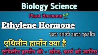 Ethylene Hormone  एथिलीन हार्मोन क्या है  Plant hormone  khoj और Function जानिए [upl. by Nicki]