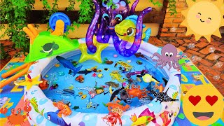 SEA ANIMALS FOR TODDLERS GROUPER BUTTERFLYFISH MARLIN SEAHORSE DOLPHIN OCTOPUS AND OTHERS [upl. by Tanberg]