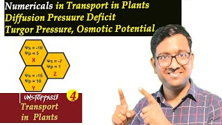 Numericals in Transport Of Plants I Diffusion Pressure deficit I NEET I Dr Kunal KT [upl. by Hillel]