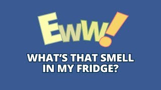 Use amp Care Tips Get Rid of Refrigerator Smells [upl. by Kepner154]