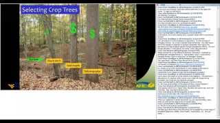 An introduction to silviculture [upl. by Mauceri]