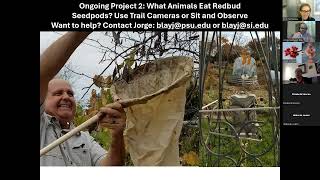 The Redbud Phenology Project Training Webinar 2024 [upl. by Calia]