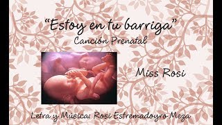 Estoy en tu barriga  Miss Rosi [upl. by Jimmy912]