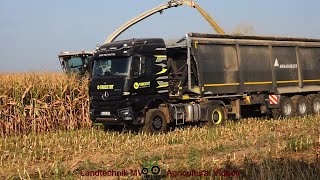 Claas  Fendt  MB  MAN    Maissilage  Silaging Maize 2024 [upl. by Adin]