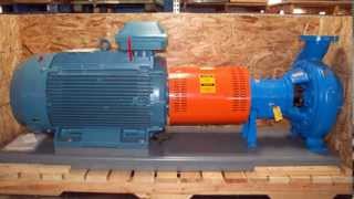 Goulds  3196 iFRAME  Centrifugal Pump [upl. by Anolahs]