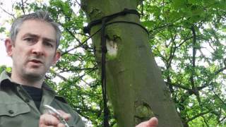 Bushcraft  Bungee Tarp Setup amp String Hammock Techniques [upl. by Genet]