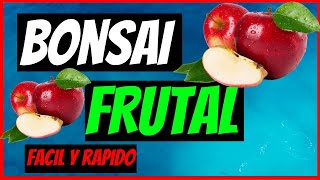 COMO HACER UN BONSAI FRUTAL MUY FÁCIL Y RÁPIDO introducción😉🌳 [upl. by Arola361]