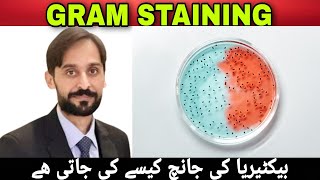 Gram Staining  Gram Staining Procedure  Gram Staining Technique [upl. by Malony705]