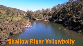 Targeting Shallow Water Yellowbelly Best Lures to use [upl. by Cara403]