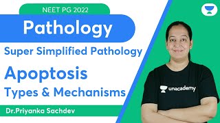 Super simplified Pathology  Apoptosis  Dr Priyanka Sachdev [upl. by Aryek]