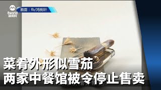 菜肴外形似雪茄 两家中餐馆被令停止售卖 [upl. by Mali]