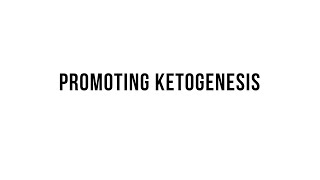 Keto 101  Promoting Ketogenesis [upl. by Niuqauj]