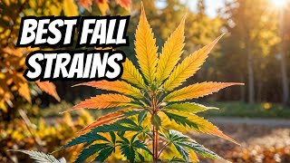 Top Fall Cannabis Strains Youll Love [upl. by Bing]