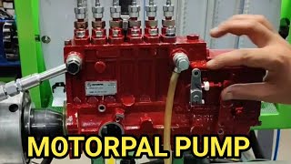 MOTORPAL PUMP TESTING  MOTORPAL INLINE PUMP TESTING  GENSET DIESEL PUMP TESTING [upl. by Nale]