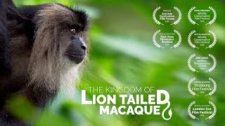 The Kingdom of Lion Tailed Macaque  Wildlife Documentary [upl. by Loralee539]